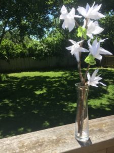 how to make tissue paper flowers