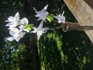 how to make tissue paper flowers