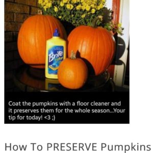 cheap fall decorations