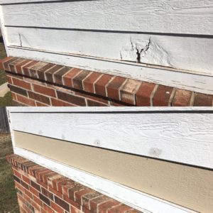 siding cost