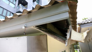 gutter cleaning
