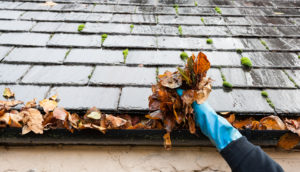 gutter cleaning