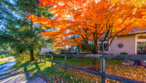 selling your house in the fall