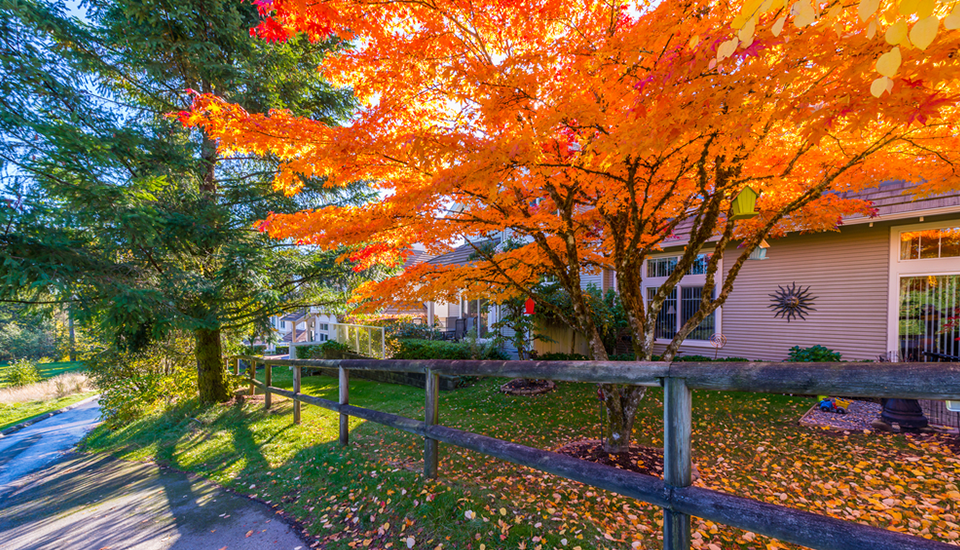 selling your house in the fall