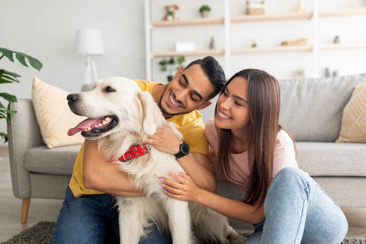 how to get a mortgage